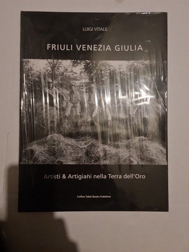 Friuli venezia giulia artisti - friuli,