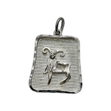 Ciondolo Capricorno Argento