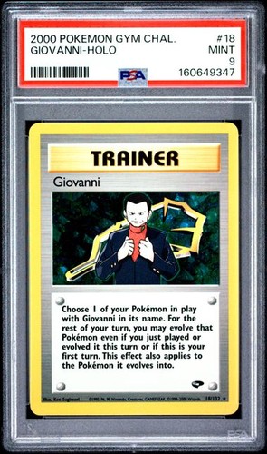2000 pokemon gym challenge - challenge, 18