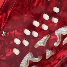 Fisarmonica Concertina Professionale per Adulti Strumento Musicale Forniture CD NYZZ