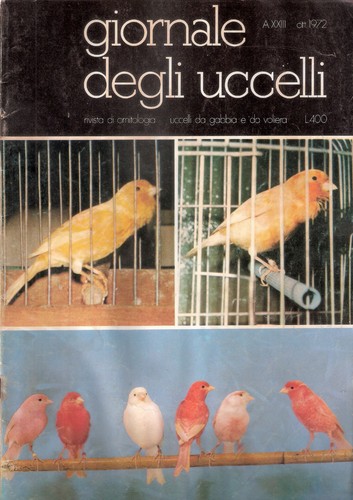 Giornale degli uccelli - giornale,
