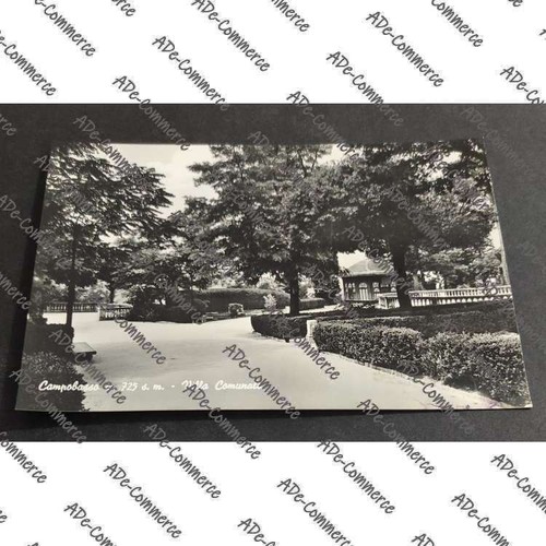 Cartolina campobasso villa - -,