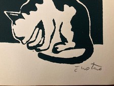 RARO: Enotrio, I gatti di via