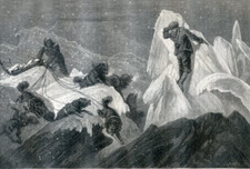 Squadra di cani da slitta nel