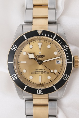 Tudor black bay - bay, 79733n