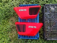 Moto Guzzi 250 TS (Fianchetto dx/sx coppia)