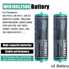 Batteria 2 pezzi WER160L2506