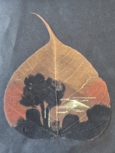 Dipinto foglia pipal - di,