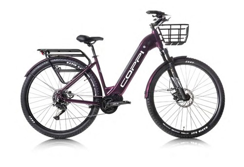 Coppi forest cues - forest, 9v