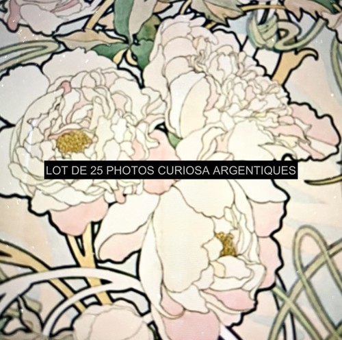 Photos curiosa 1950 origine - photos,
