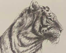 Disney Art Director Jean Paul Orpinas Tiger Print Signed by the Artist