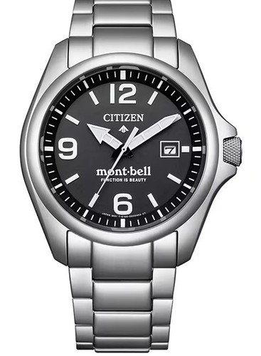 Modello limitato citizen - modello,