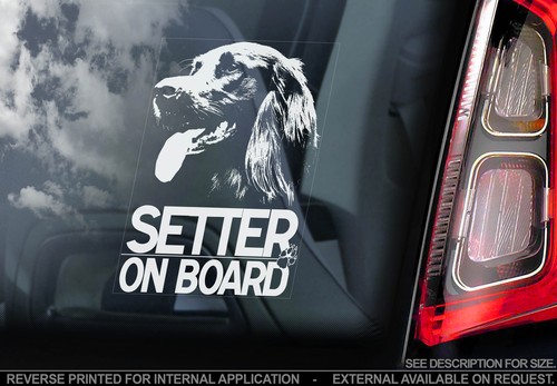 Irish setter car - irish,