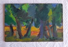 Terruso Saverio quadro paesaggio bosco a colori olio su tavoletta 20x30 cm