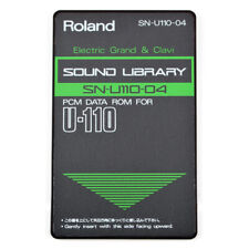 Scheda ROLAND SN-U110-04