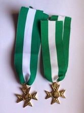 MEDAGLIA ANZIANITA' DI