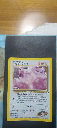 Koga ditto 132 holo - 10/132,