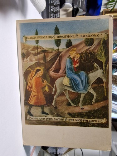 Cartolina fuga egitto - cartolina,