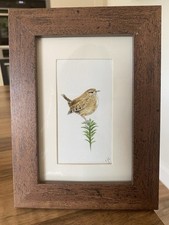 ORIGINALE (non una stampa!) Quadro con cornice: Wren di Lisa EVANS