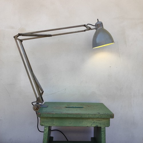 Lampada naska loris jac - loris,