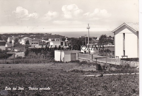 Lido dei pini veduta parziale - lido,