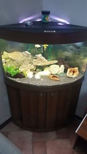 Acquario angolare accessoriato usato