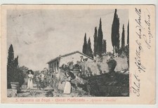 S.Casciano dei Bagni - (Siena) - Montesanto - Apiario Coradino