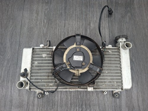 Radiatore honda - radiatore, (radiatore)