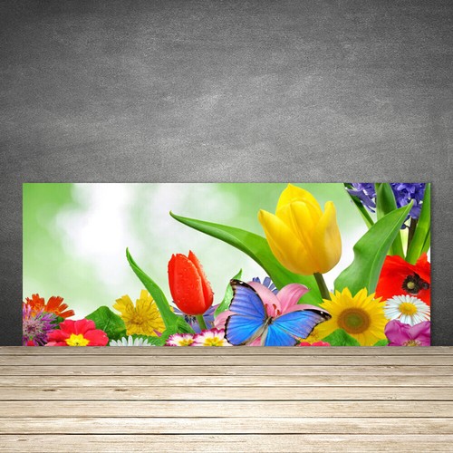 Splashback paraschizzi - splashback,