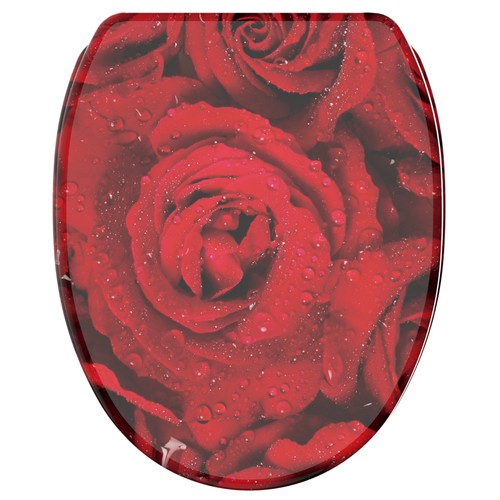 Sedile stampato soft close - wc,