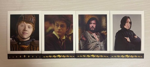 Harry potter pashacolle - harry,