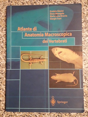 Atlante anatomia - atlante, di