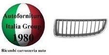 GRIGLIA RADIATORE DX TUTTA