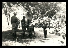 Foto, WW2, 4./A.R.9, Russia