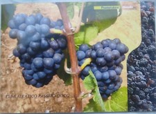 Folder francobolli italiani - Elba Aleatico passito DOCG 2016