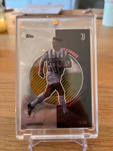 Roberto baggio 2025 - roberto, 2025-26