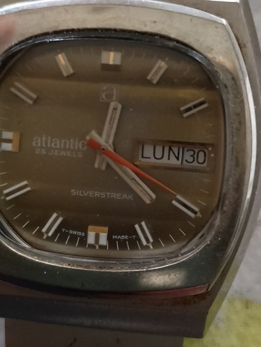 Atlantic silverstreak - atlantic,