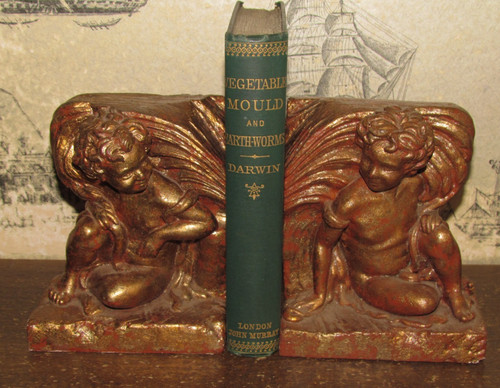 1882 charles darwin - charles, the