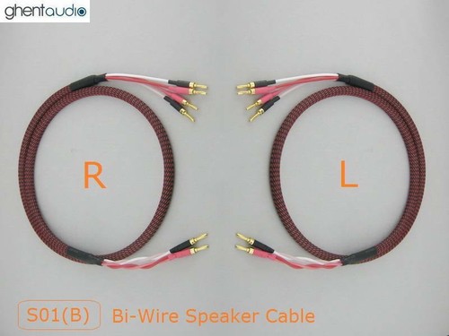 S01bw coppia - s01bw, (2,5