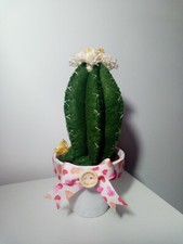 Cactus pannolenci piante finte fiori puntaspilli cucito idea regalo handmade