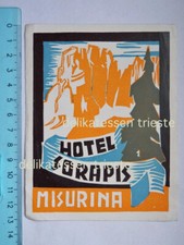 HOTEL SORAPIS Misurina Dolomiti Belluno OLD LABEL etichetta albergo baggage