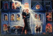 Kit gomma flipper famiglia