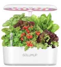 GOLUMUP Serra Idroponica 12