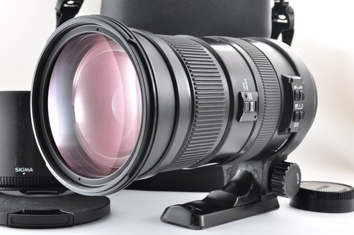 Sigma 500mm 3 apo dg - sigma,