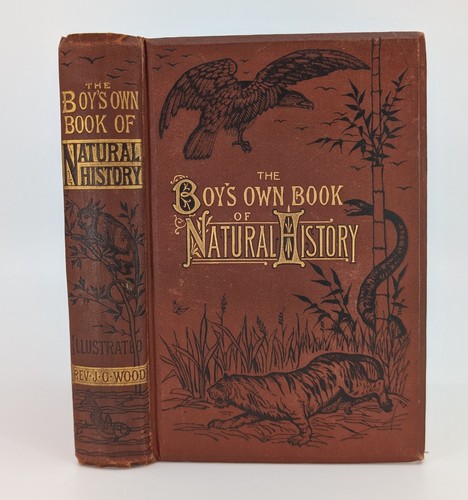 The boy own book - boy's,