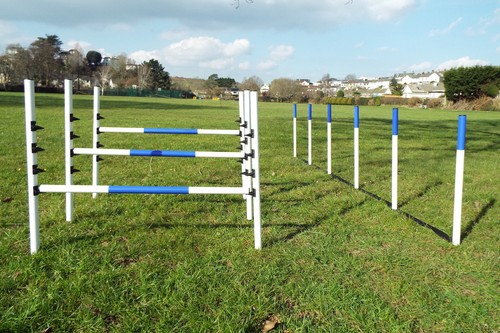 Attrezzatura agility per - attrezzatura,