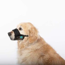 Museruola per cane taglia