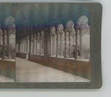 Ancient Cloister Twisted