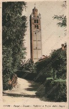 CARPI Giardini Pubblici e Torre della Sagra Modena Cartolina