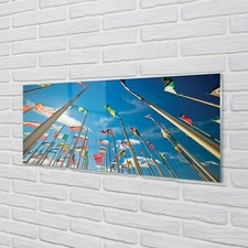 Tulup Acrylic Print 125x50